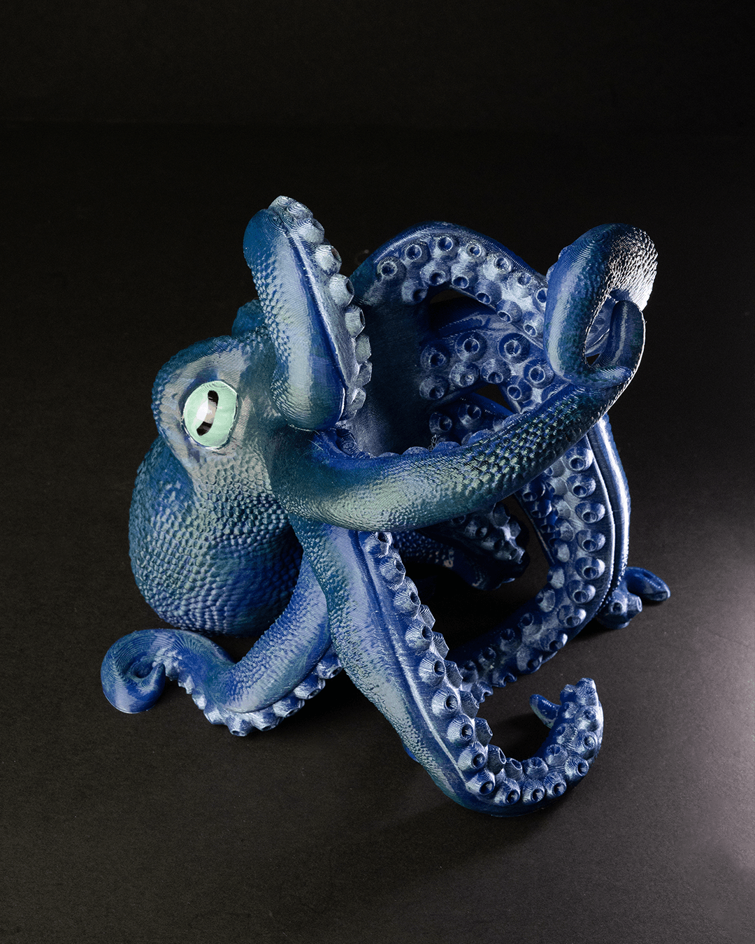 Bordeaux, The Octopus Wine Bottle Holder