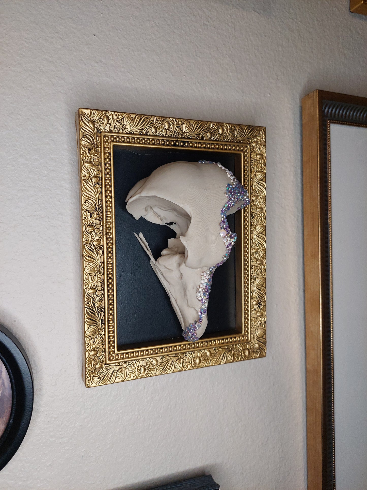 Great Horned Owl Skull