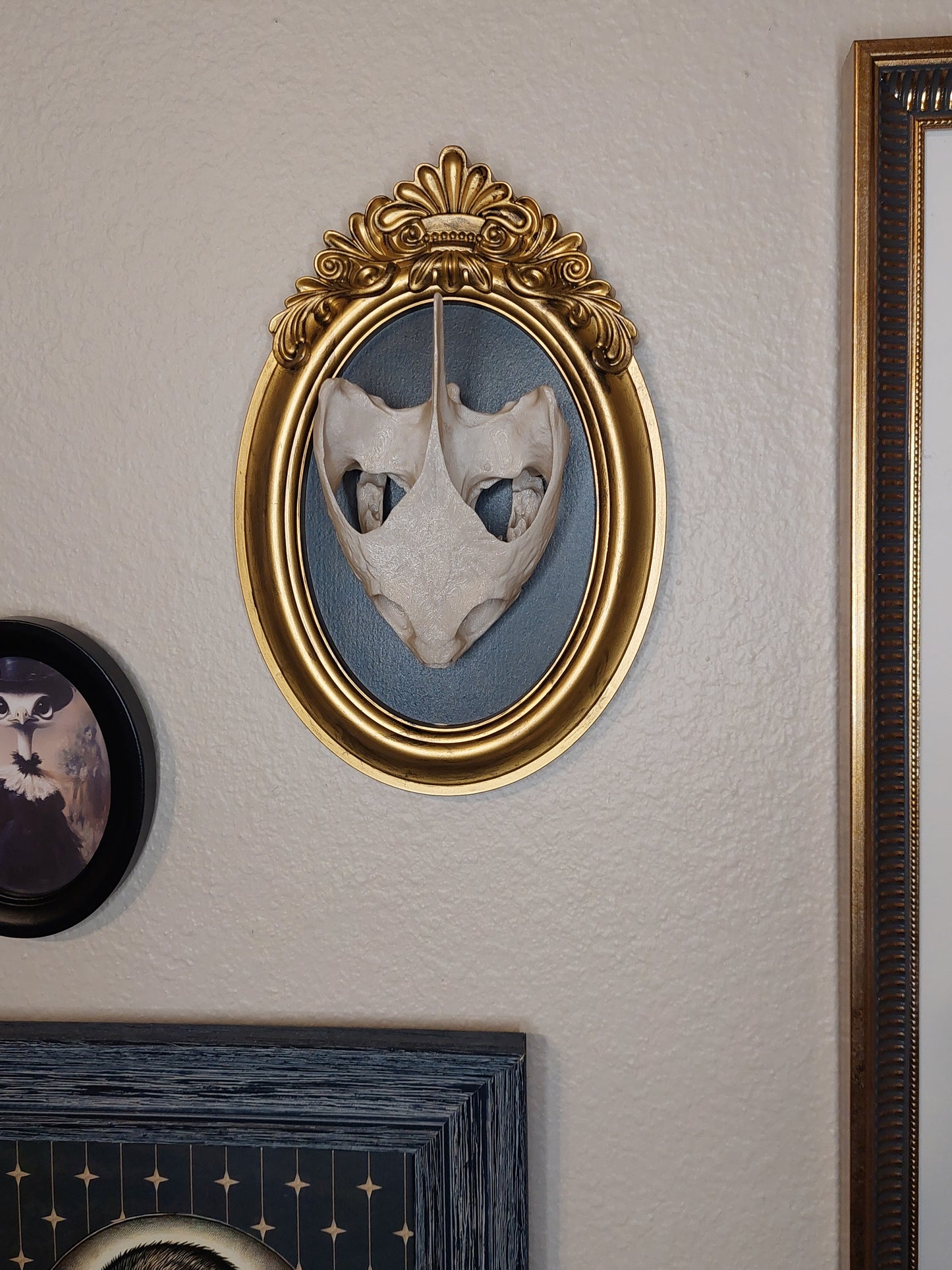 Snapping Turtle Skull