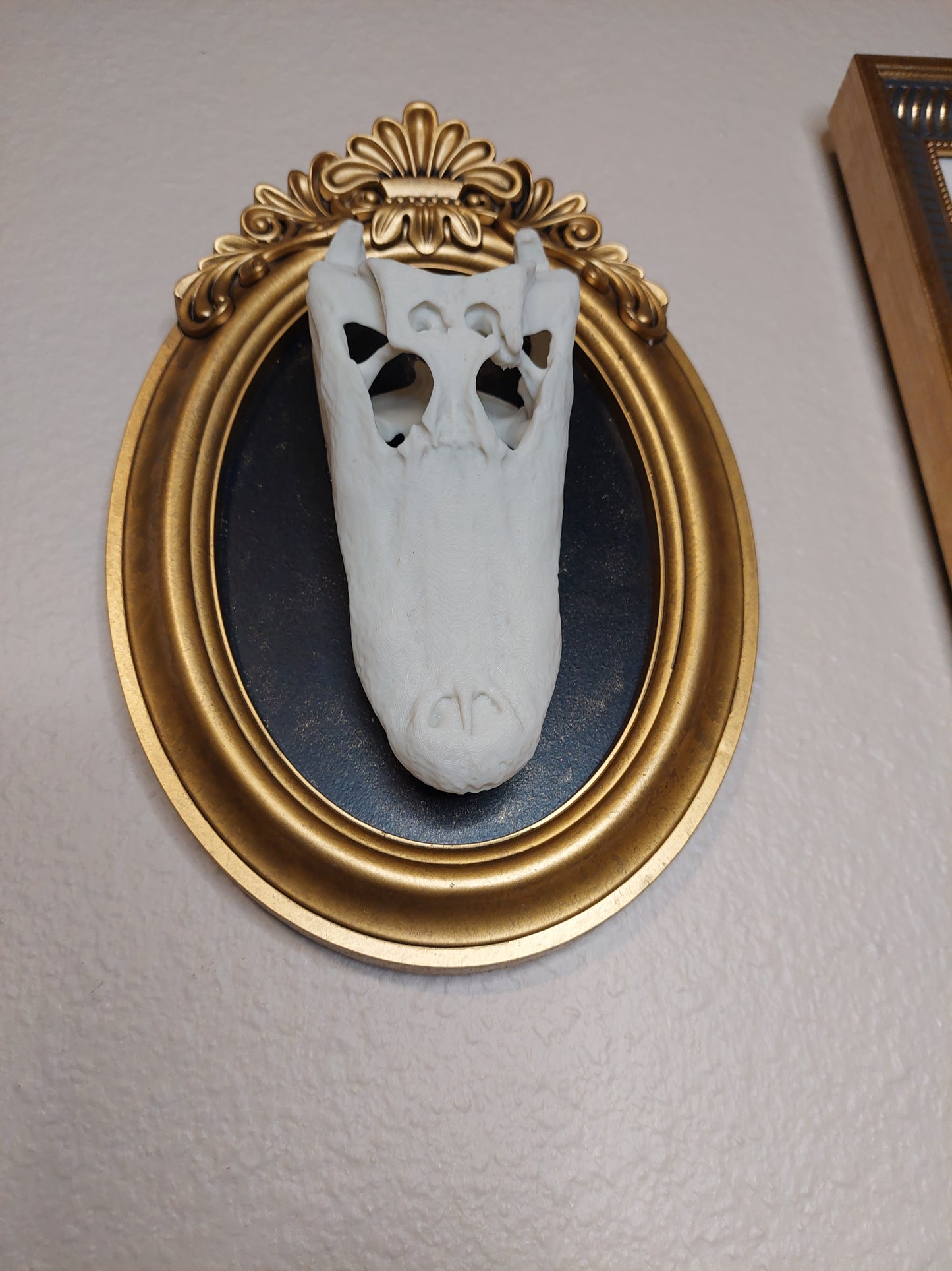 Florida Gator Skull