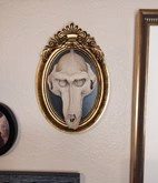 Baboon Skull